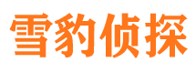 江城侦探公司